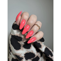 Summerlin - Limited Edition
