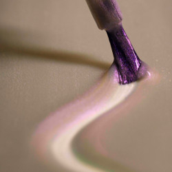 Candy Wendy Stamping Nail...