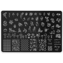 Stamping Plade - Autumn 01